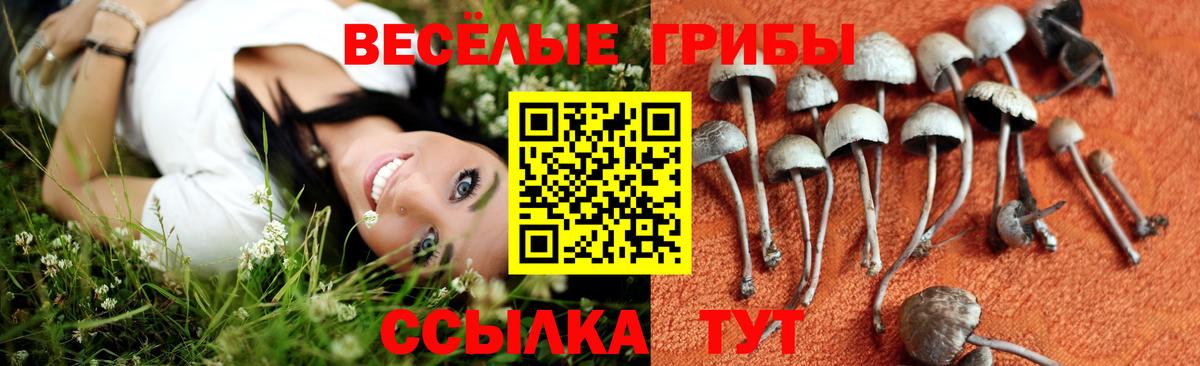 Галлюциногенные грибы GOLDEN TEACHER Севастополь
